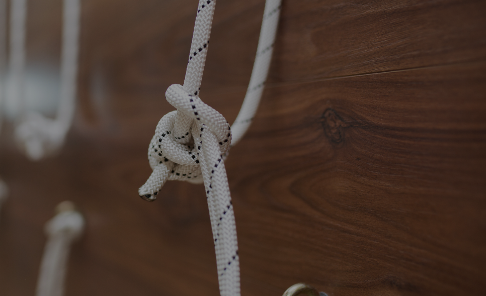 Tự hào sản phẩm của người An Nam